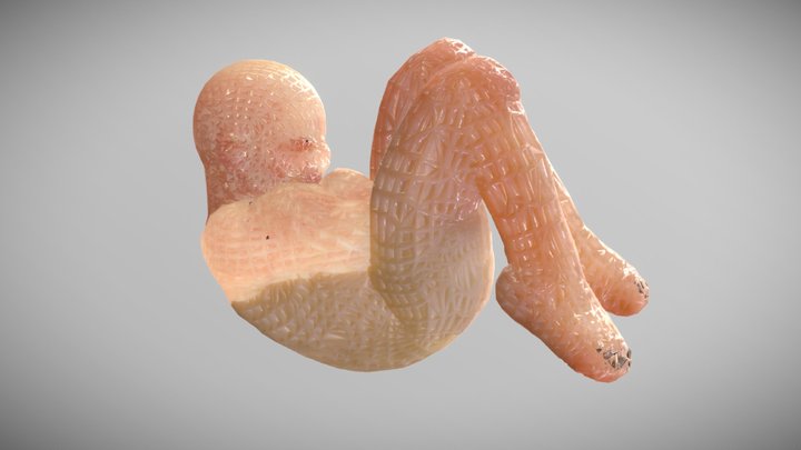 EP04 Character 3D Model