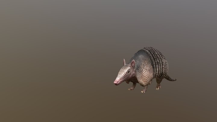 Armadillo – Free 3D Model STL