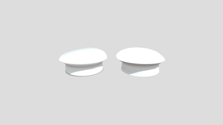 Basic Officer hat 3D Model