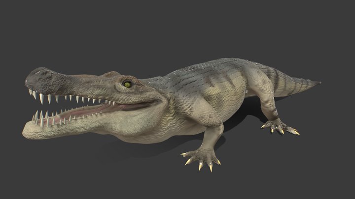 deinosuchus 3D Model