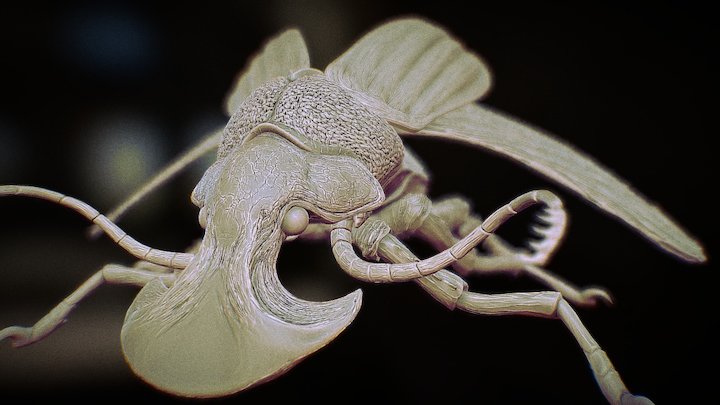 Boar Beetle – Modello 3D gratuito STL