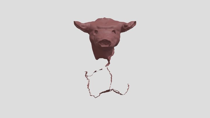 pig bull 3D Model