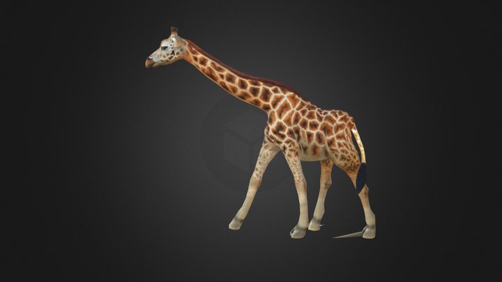长颈鹿 _giraffe 3D Model