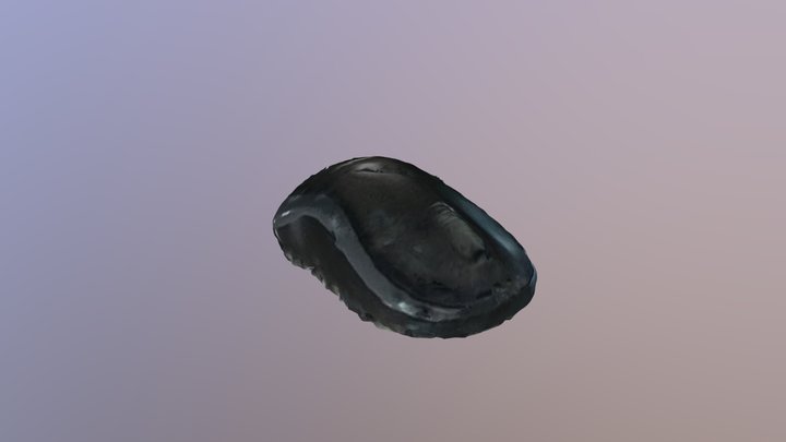 New Qlone 3D Model
