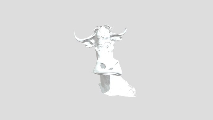 VACA 3D Model