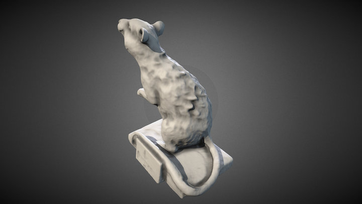 Rat 3D Model