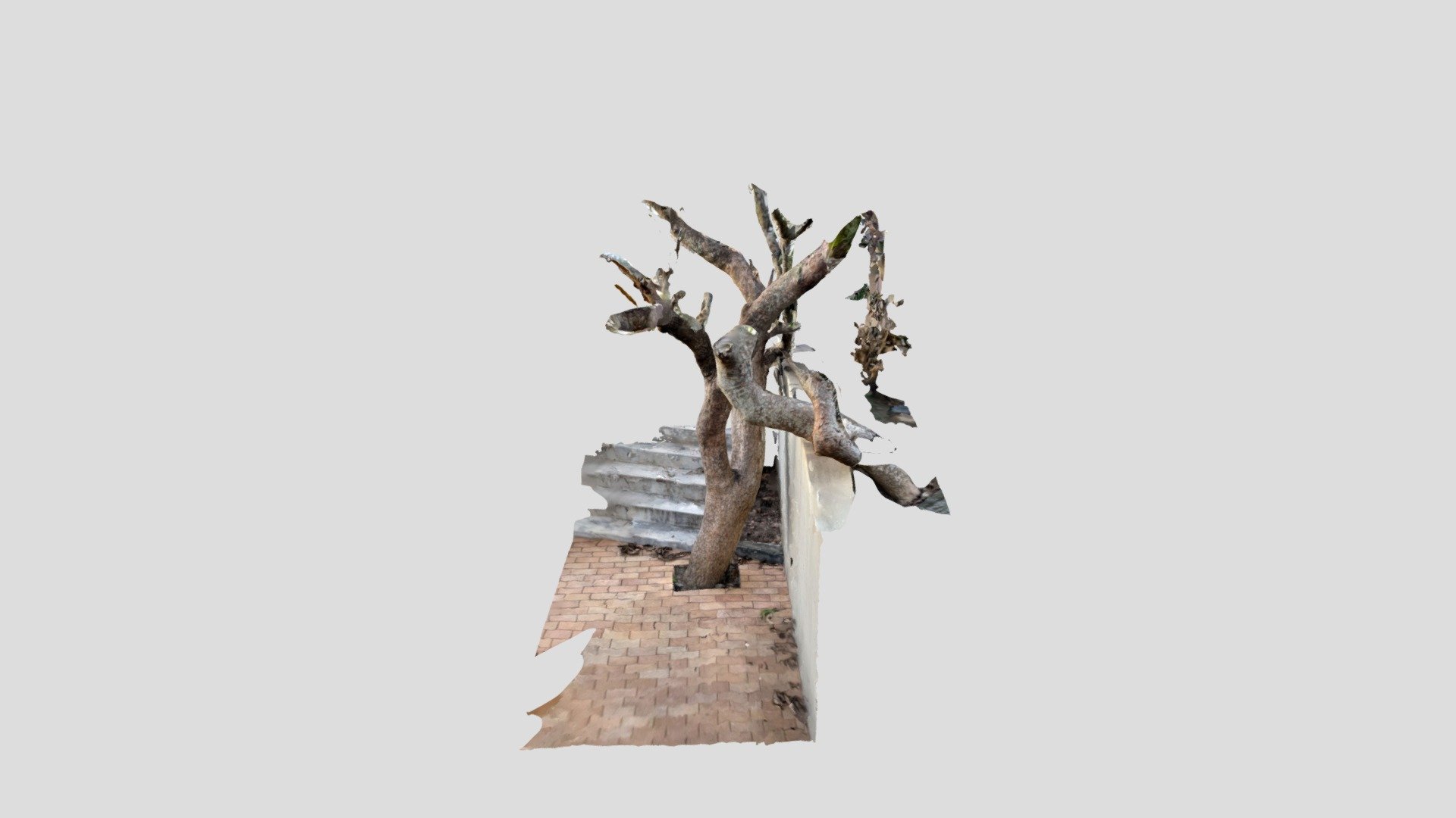 Arbre