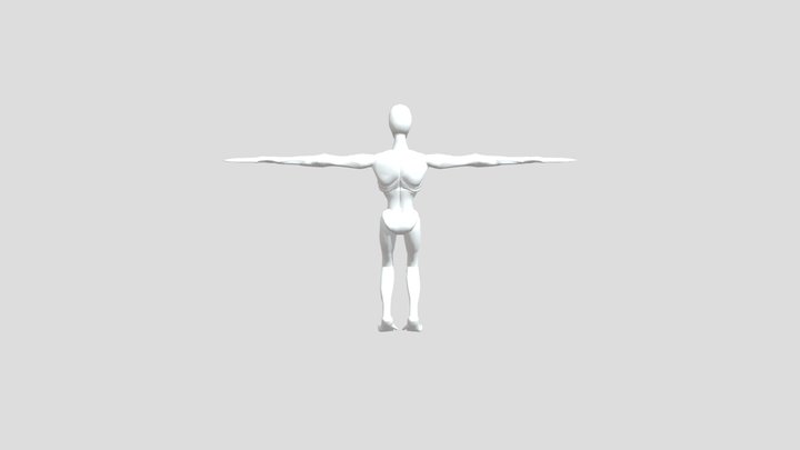 Mimic Remodel PC2 3D Model