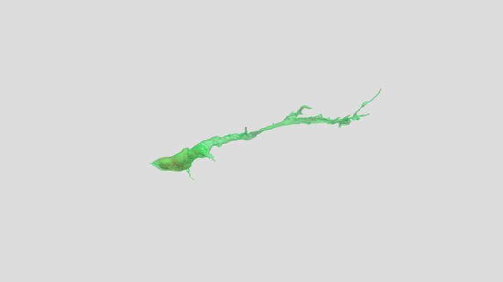 Migratory neuron with collapsed growth cone 3D Model