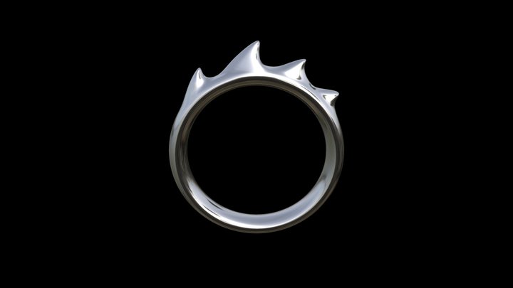 DG04 Ring 3D Model