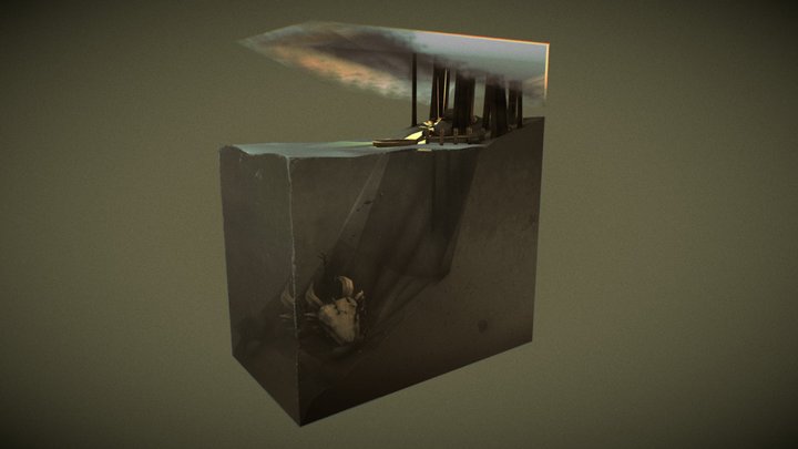 Dragon Skull Diorama 3D Model