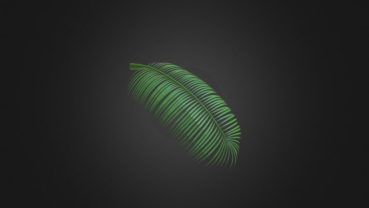 PALM LEAF