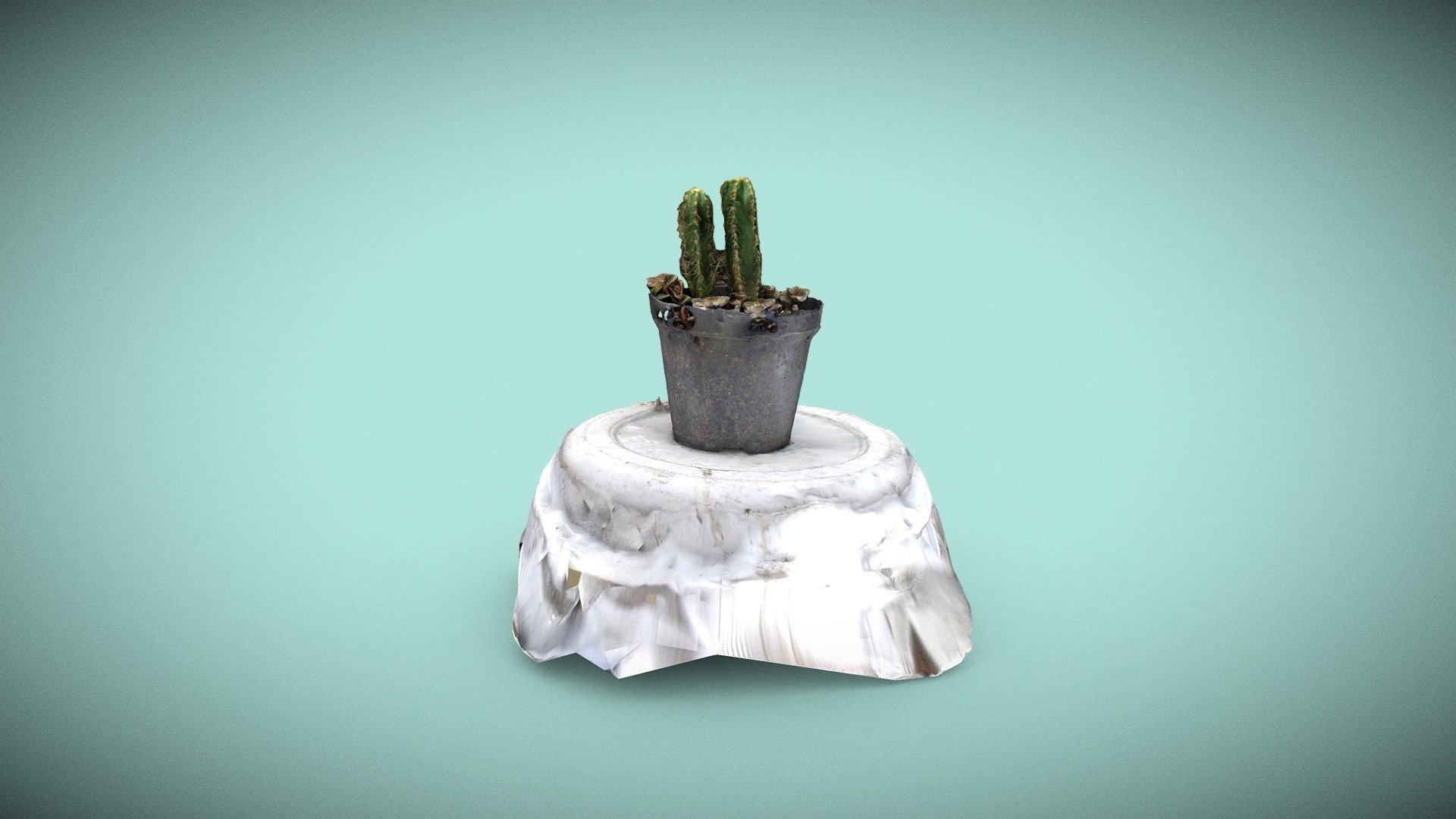 Cacto - Fotogrametria - 3D model by eric_br [7077caf] - Sketchfab