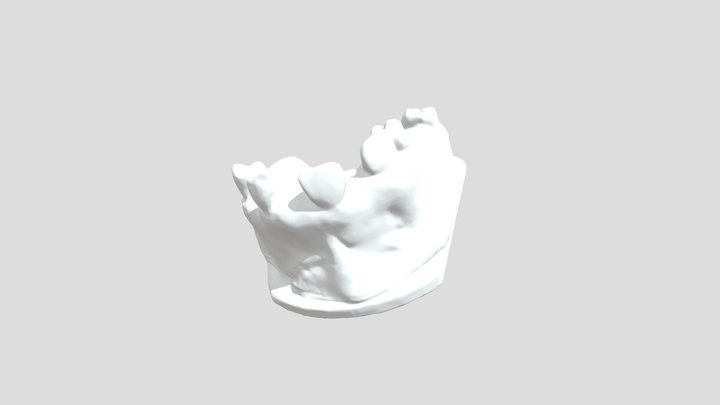 Teeth 3D Model