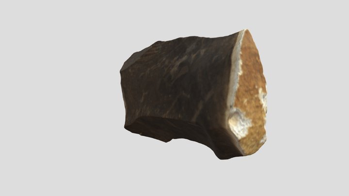Núcleo lítico 3D Model