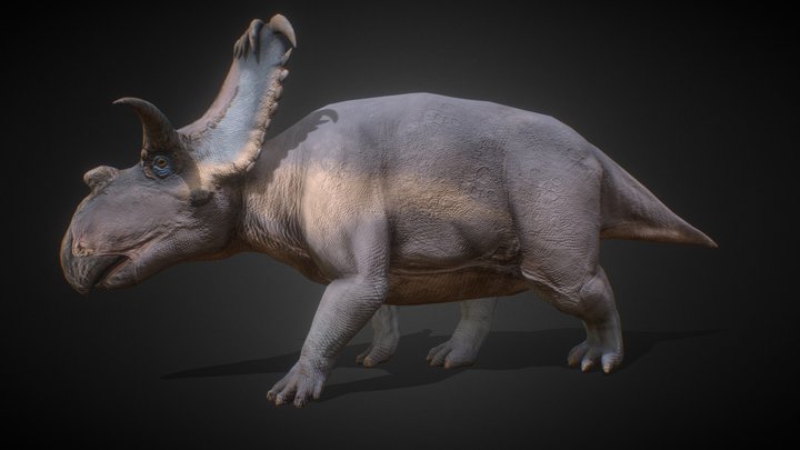 Kosmoceratops 3D Model