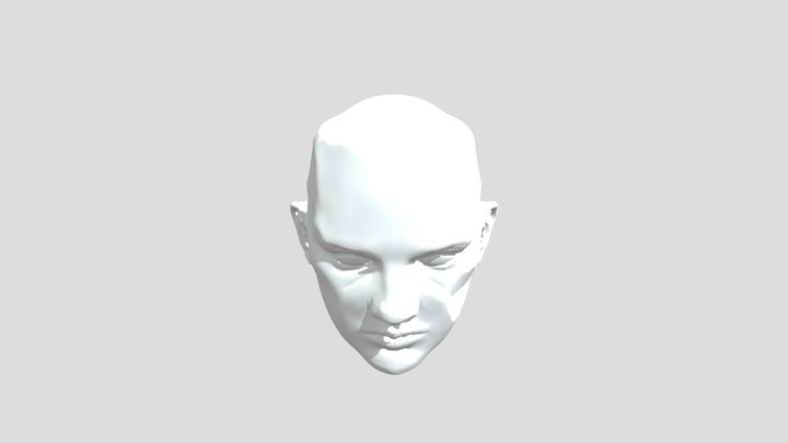 Head Sculpt 3D Model