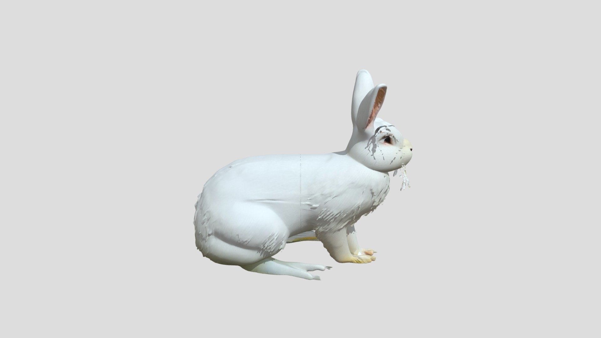 rabbit - Download Free 3D model by EZEKKIIEL [707f07c] - Sketchfab