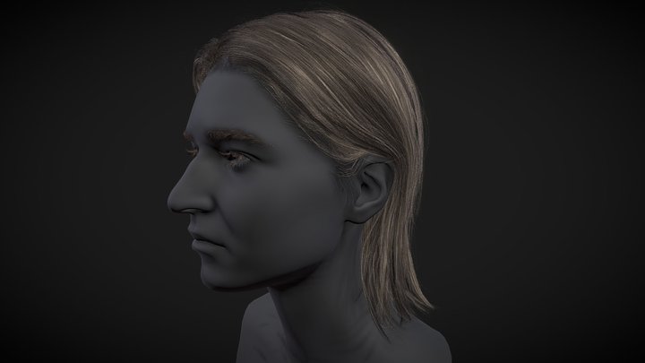 Female Straight medium long haircut 3D Model