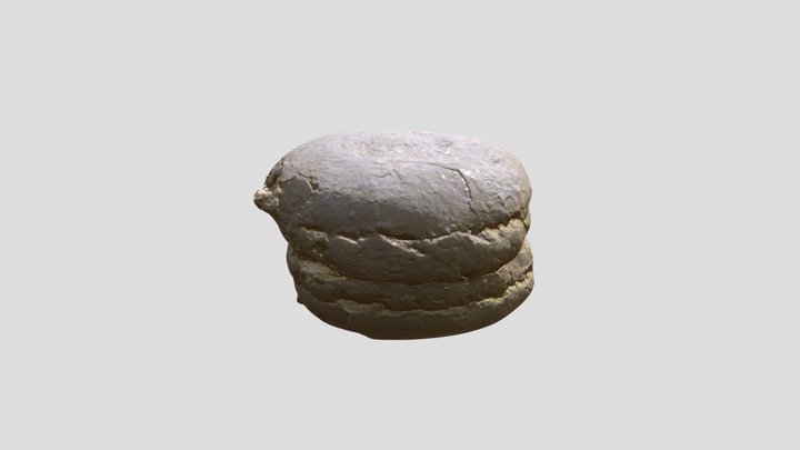 Sweet Peach Photogrammetry 3D Model