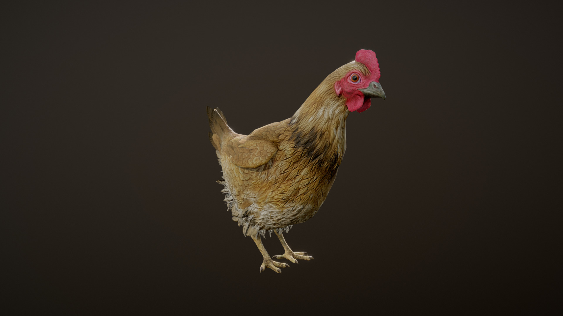 3D model CHICKEN ANIMATIONS - This is a 3D model of the CHICKEN ANIMATIONS. The 3D model is about a chicken with a black background.