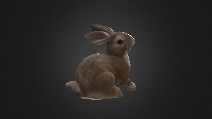 Bunny 3D Model