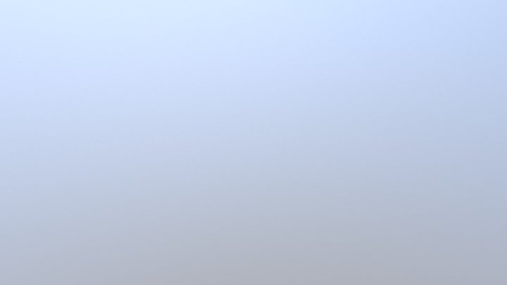 C1 3D Model