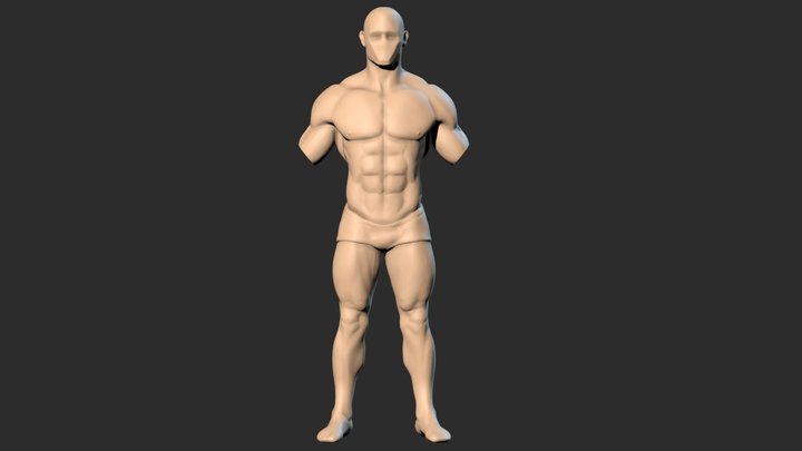 leg and torso study 3D Model
