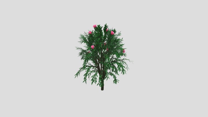 ROSE TREE 3D Model