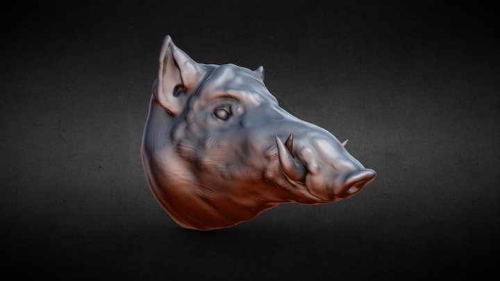 Wild Boar 3D Model