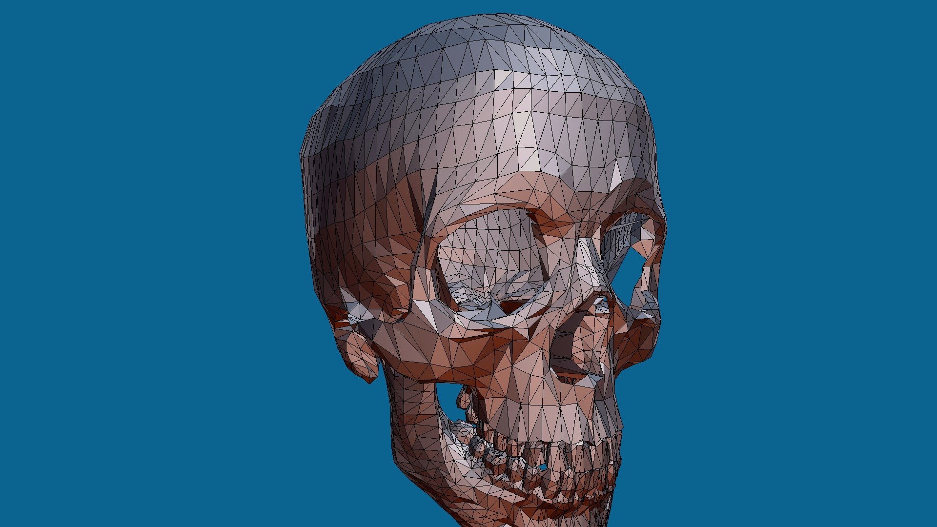 Skull