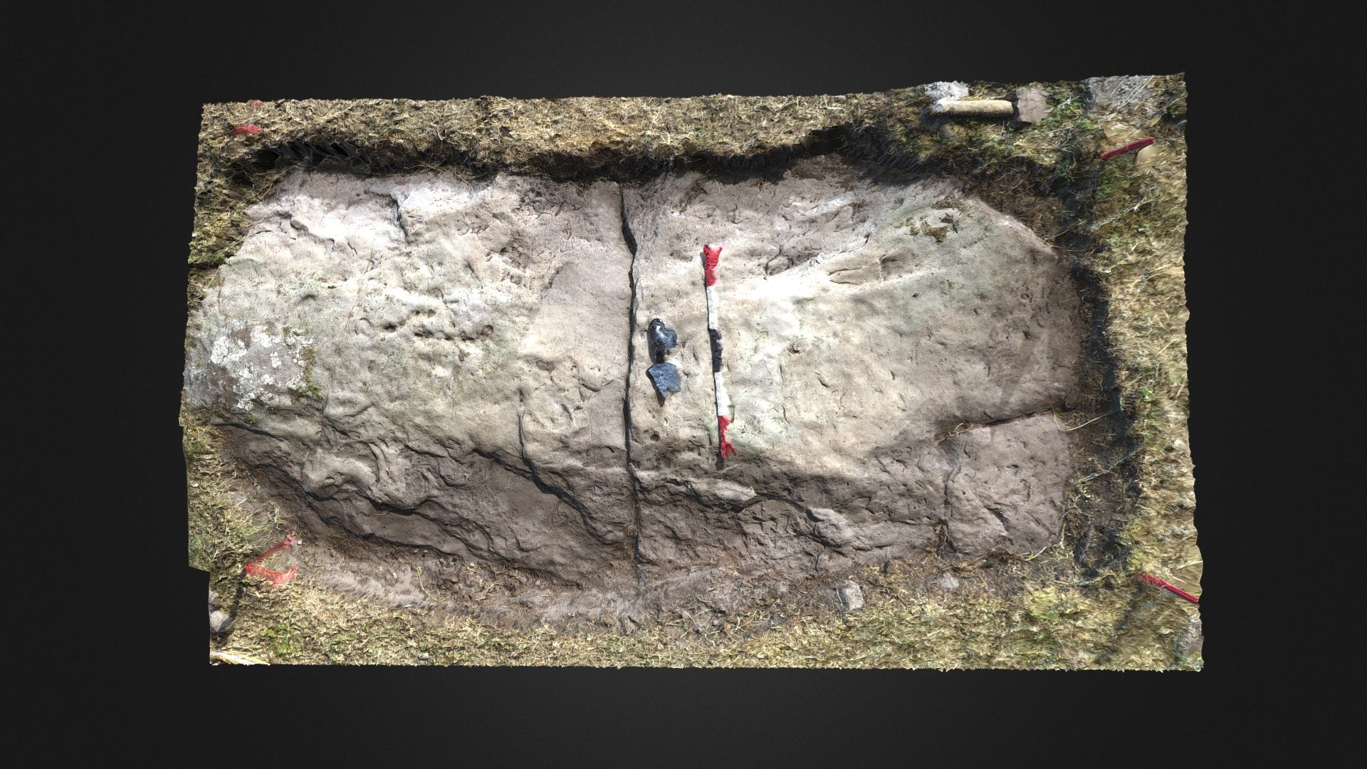 Carr Hill deturfing (area IX)