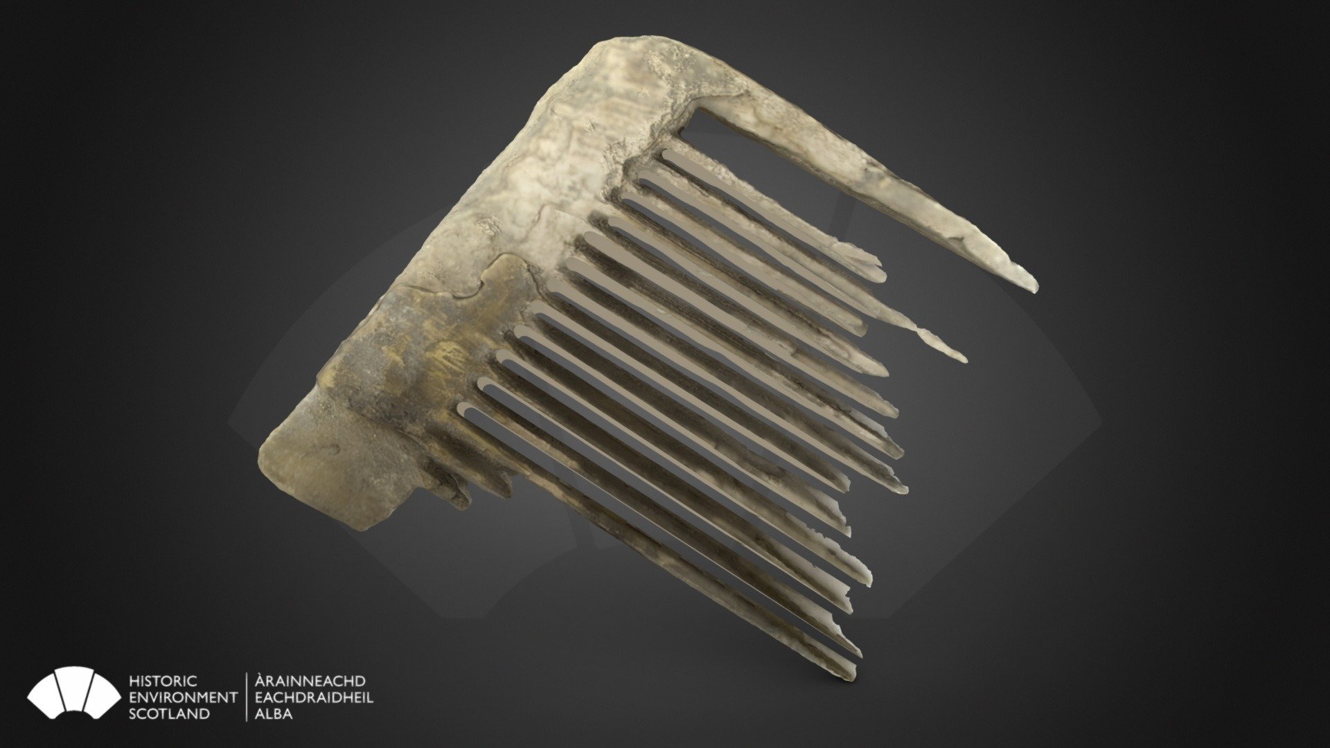 Bone Comb, Edinburgh Castle