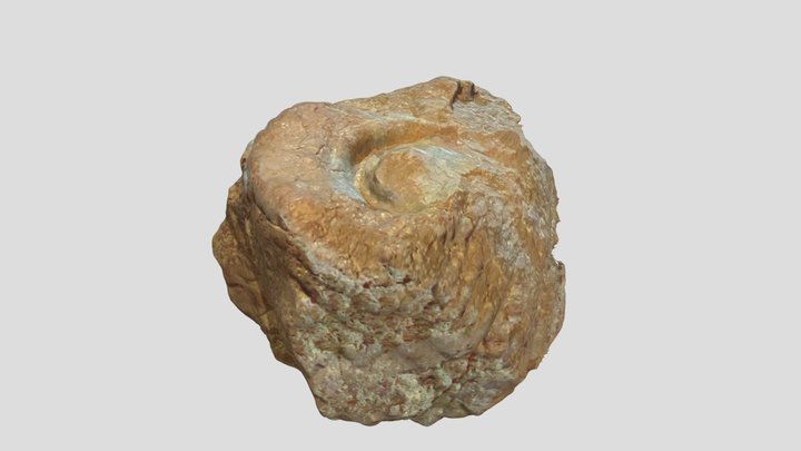 Fossilized Rivet from Noah's Ark 3D Model