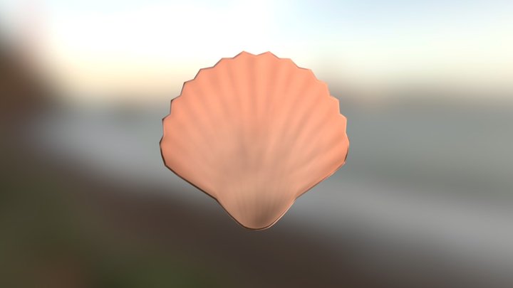 Clamshell 3d Models Sketchfab