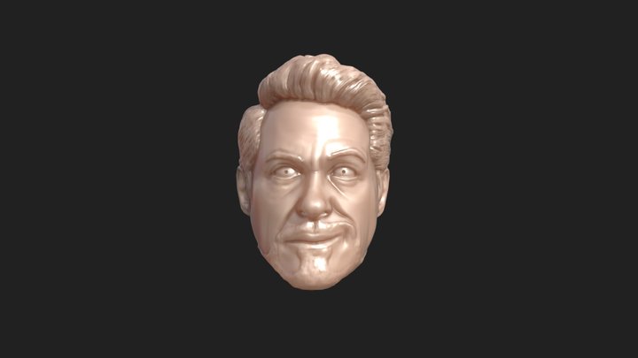 Tony Stark head for 1/6 models 3D Model
