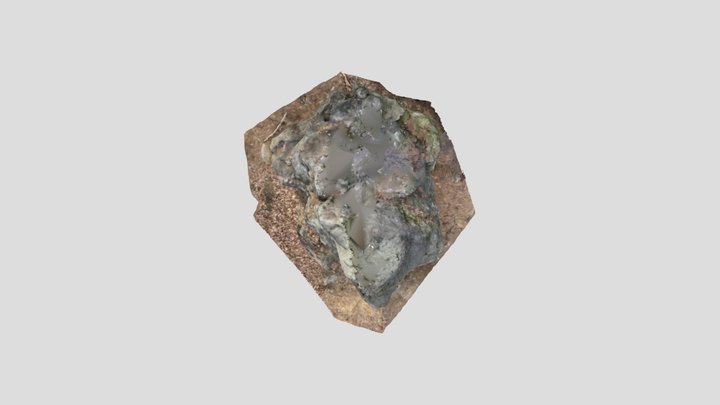 Magothy Quartzite Outcrop 3D Model