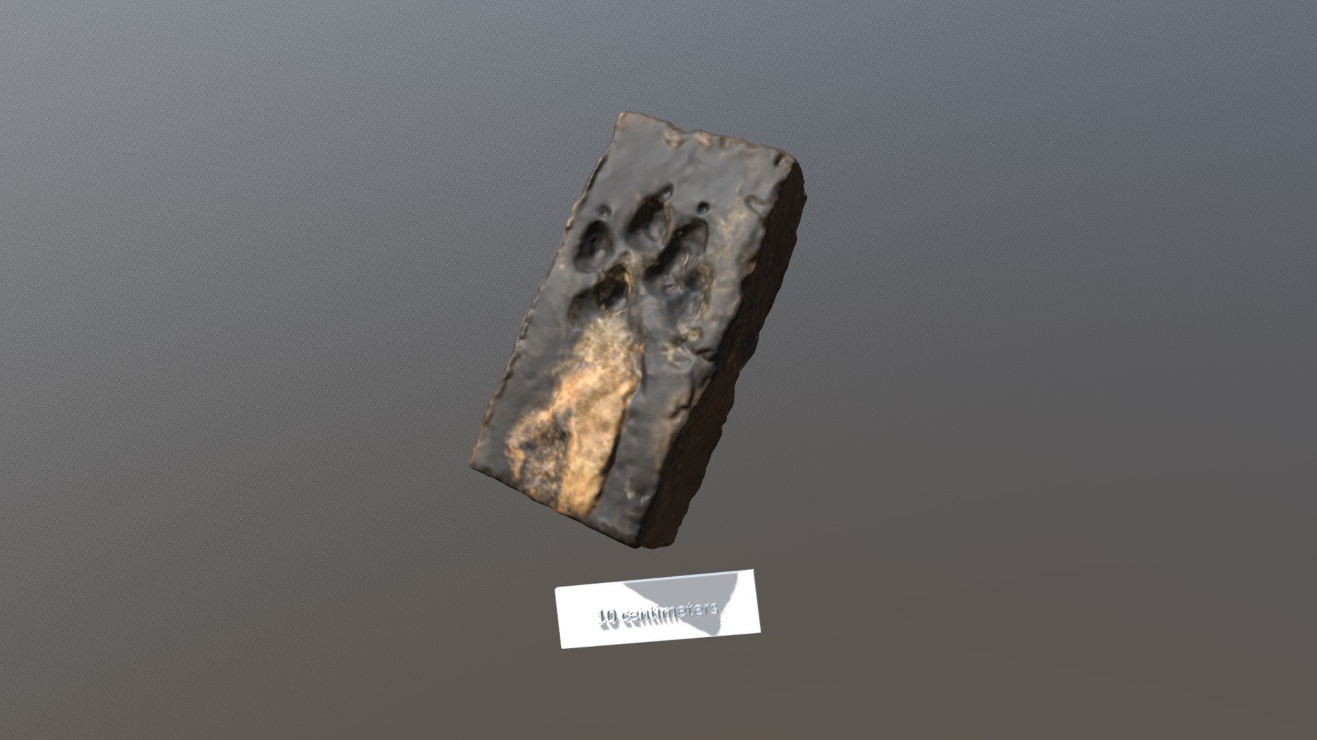 Brick W Dog Paw Print (VCU_3D_3664)