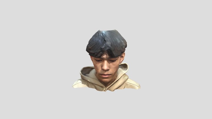 Head Scan (Muhammad Syafi Haydar) 3D Model