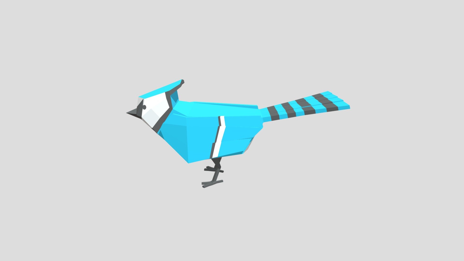 Bluejay from Poly by Google