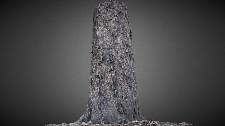 Tronco de árvore do igapó (VGX) – Modèle 3D gratuit STL