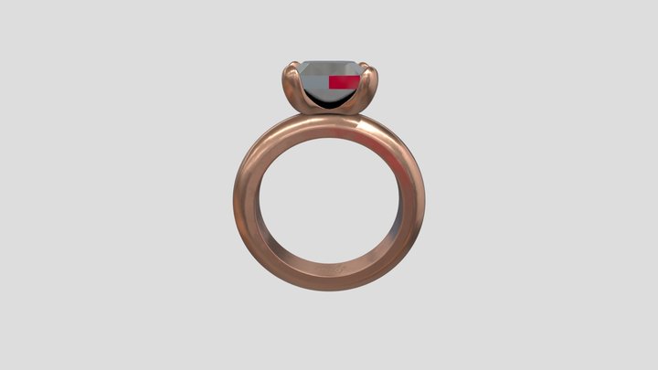 ANILLO 3D Model