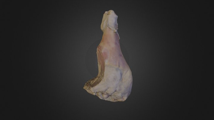 Leg 3D Model