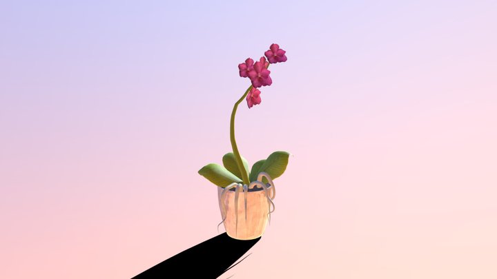 Orchid_Final 3D Model