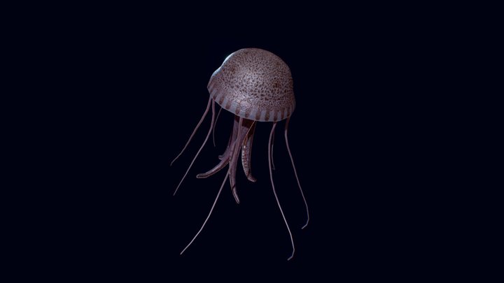 Game asset - Planktomania - Pelagia 3D Model