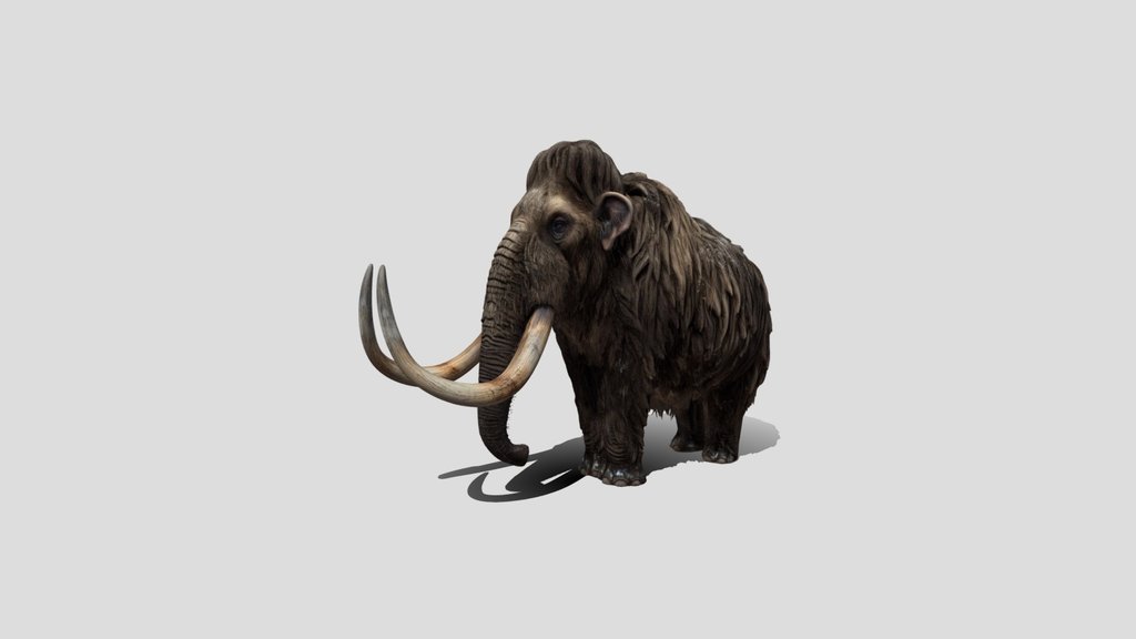 High Poly Mammoth 3D Model Free