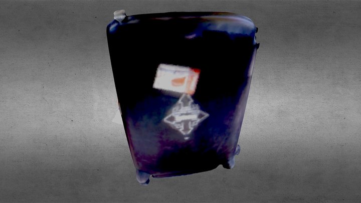 Luggage 3D Model
