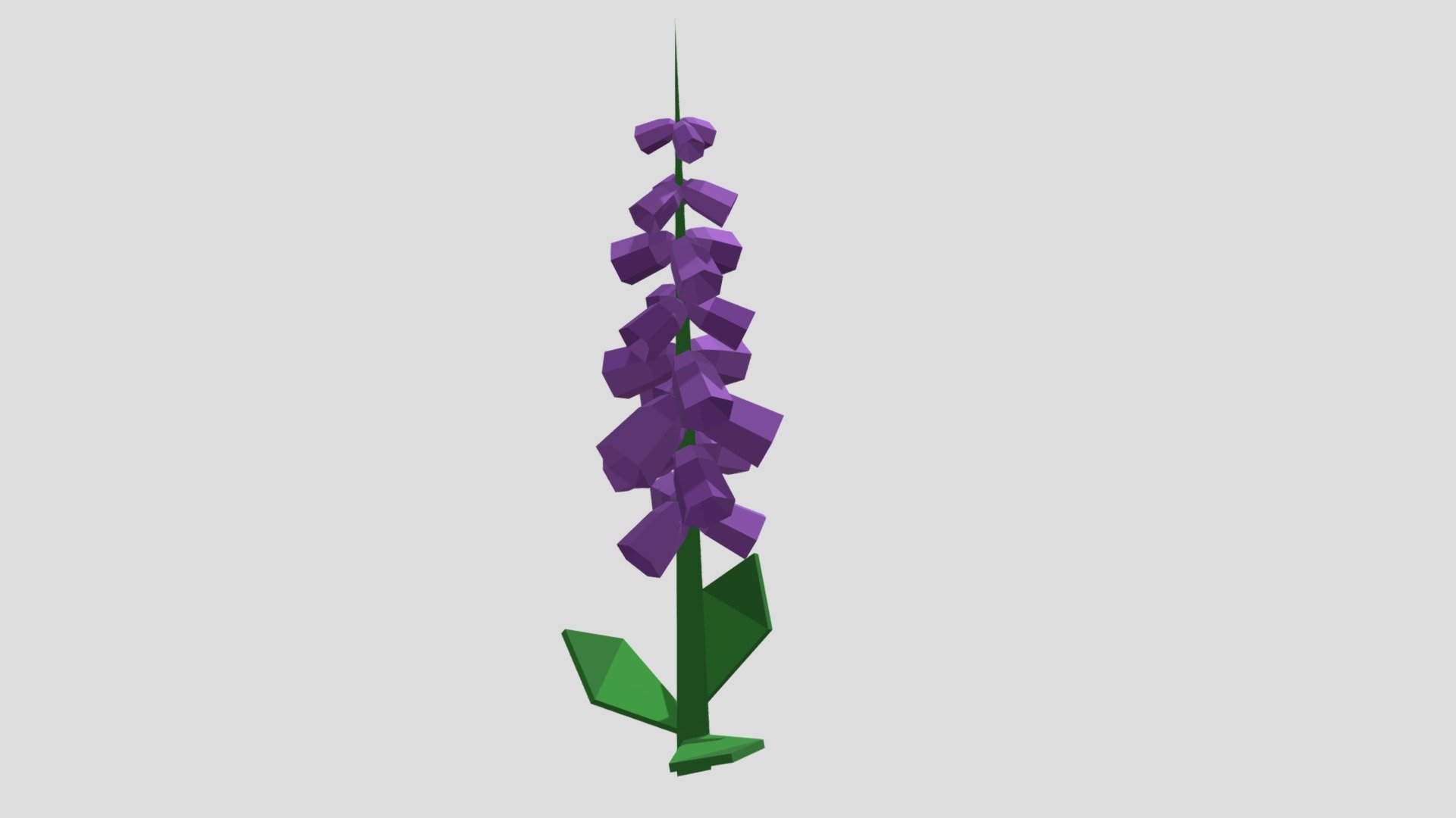Foxglove Low-Poly