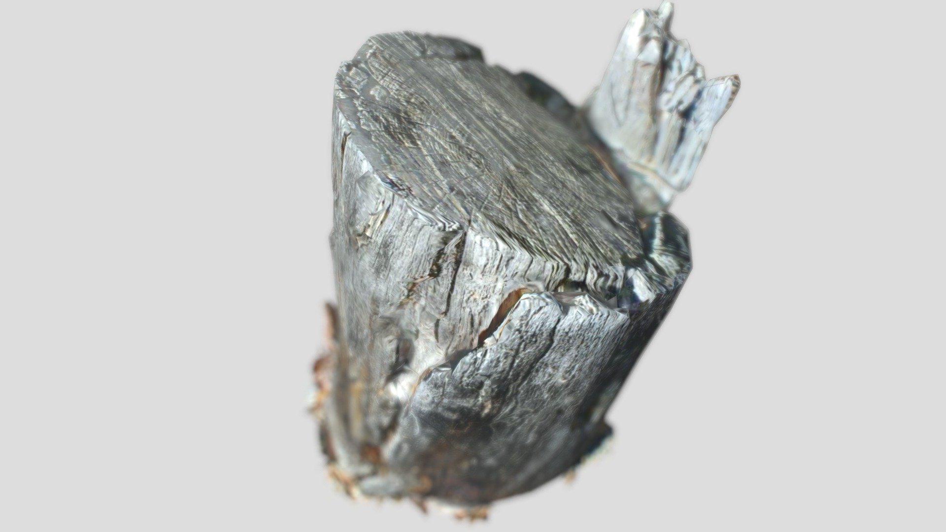Tree Stump