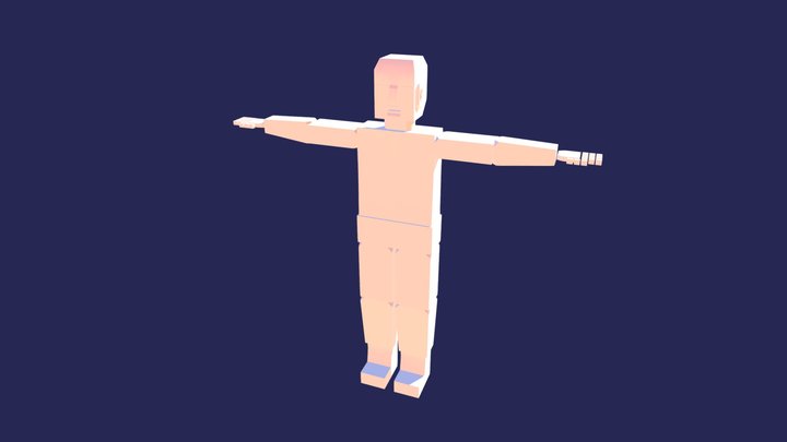 Test Blocky Character 3D Model